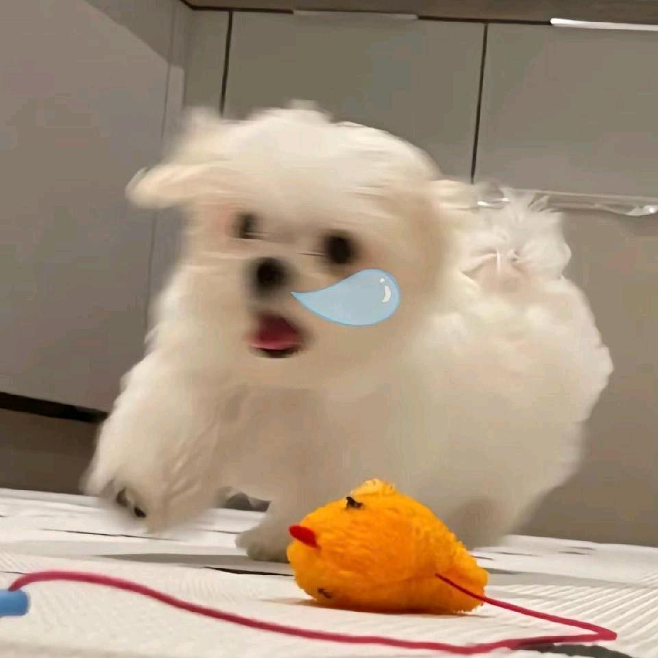 知有