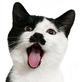 好运滚滚来之我是大美女（万事如意）