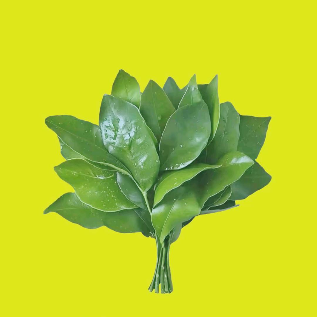 七月