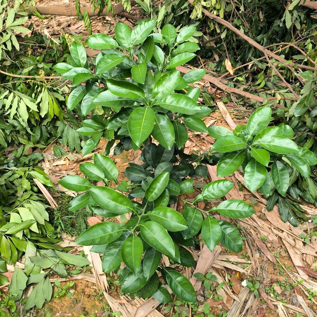 用户7.7
