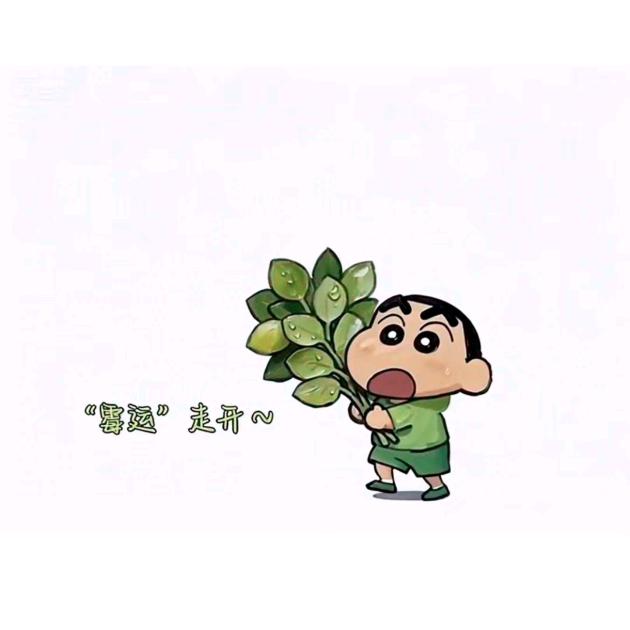 小赵不早睡(◕ᴗ◕✿)🍒