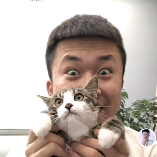 就叫了个锤子(直播封禁中……)