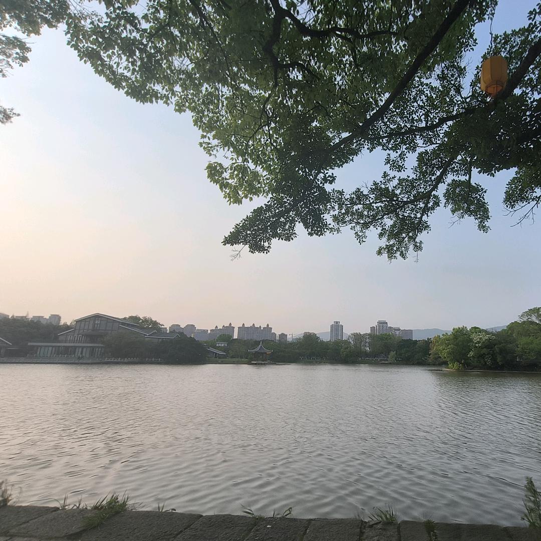 落霜