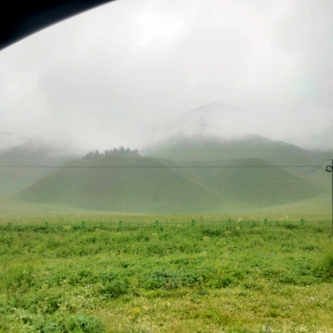 🎶🎤东世抖音🎧🎧