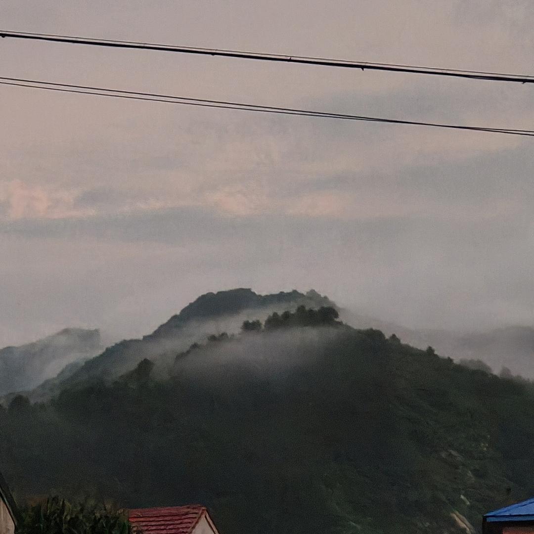 小冬哥