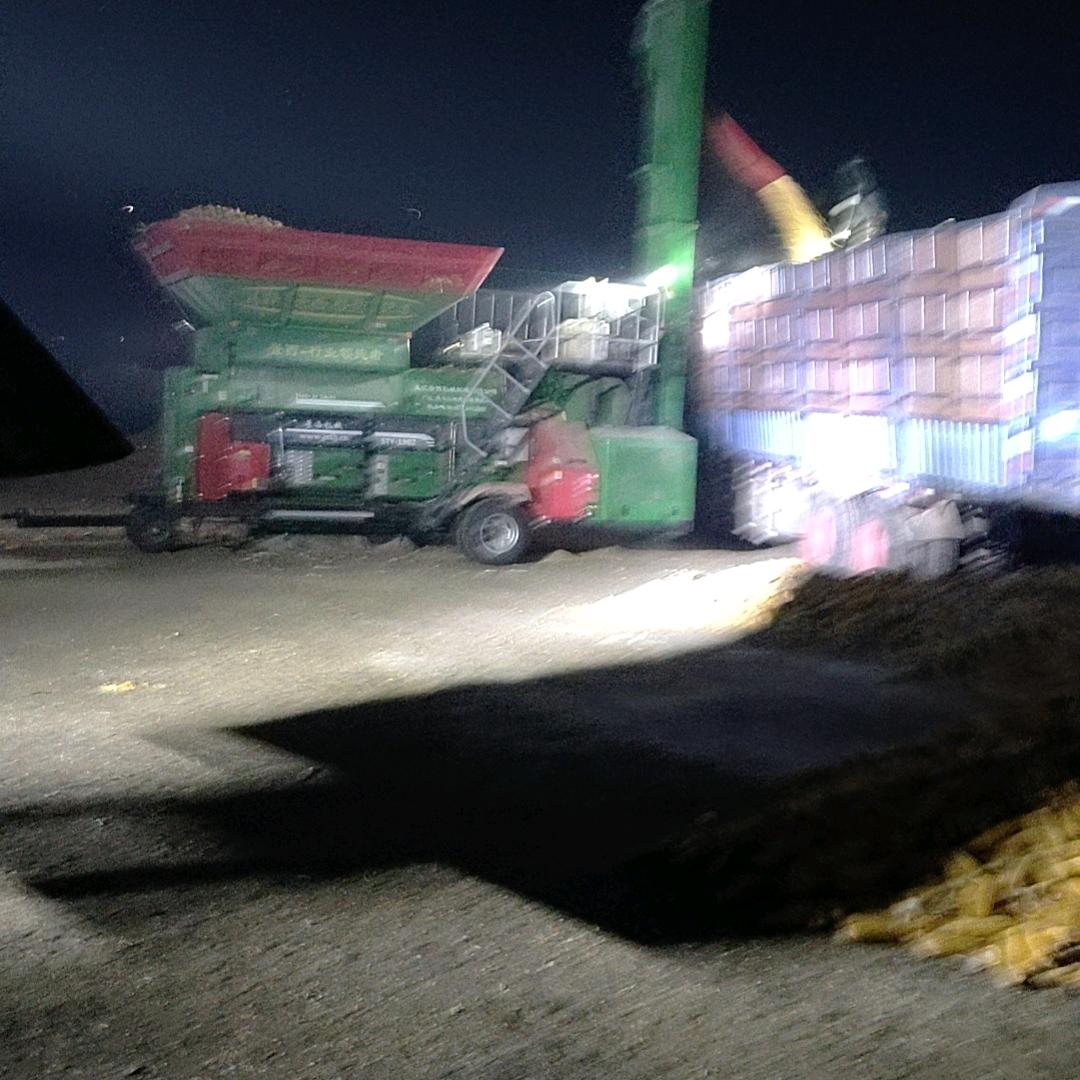 我不会再为你心动