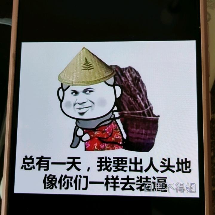 反骨女王👸👸