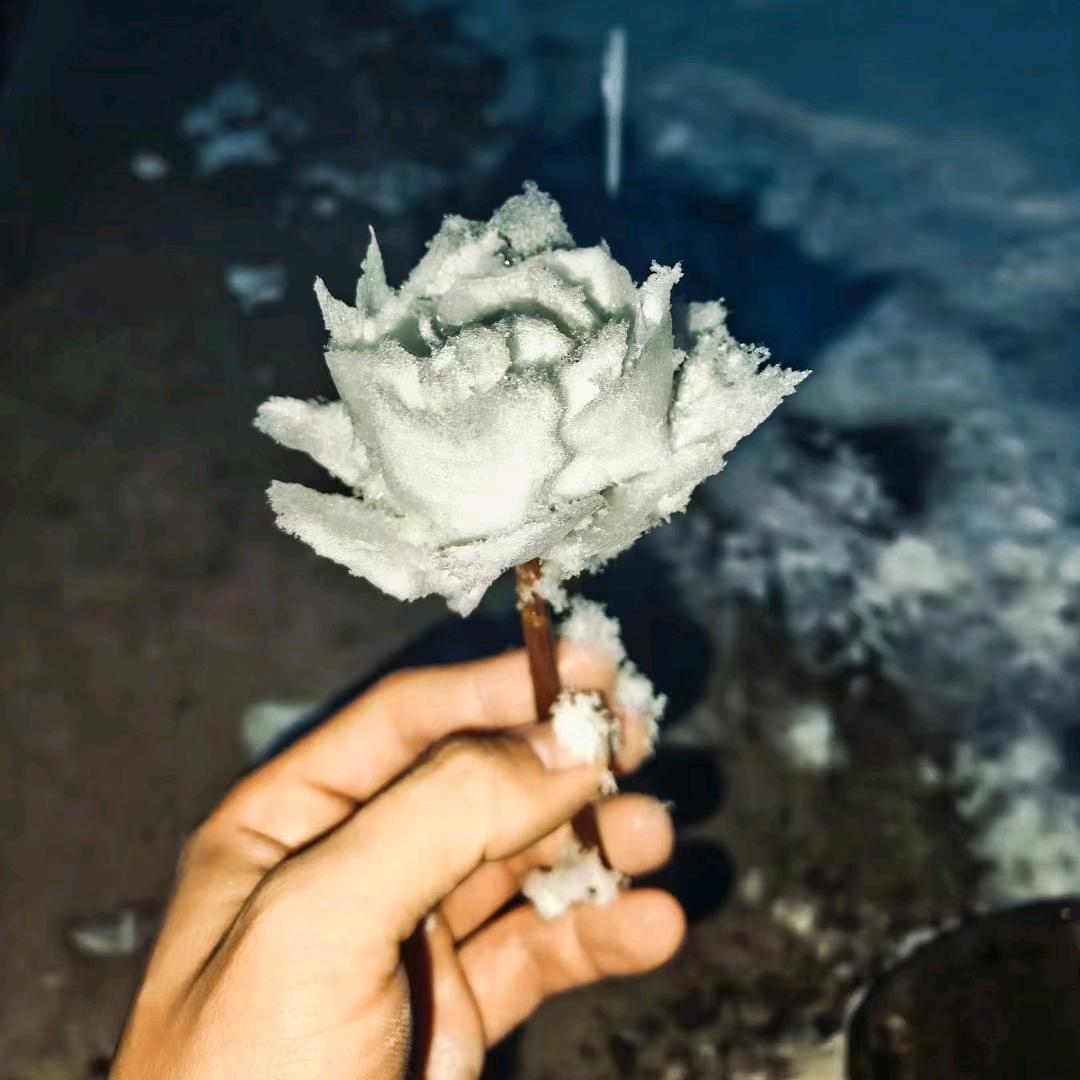 路莫愁
