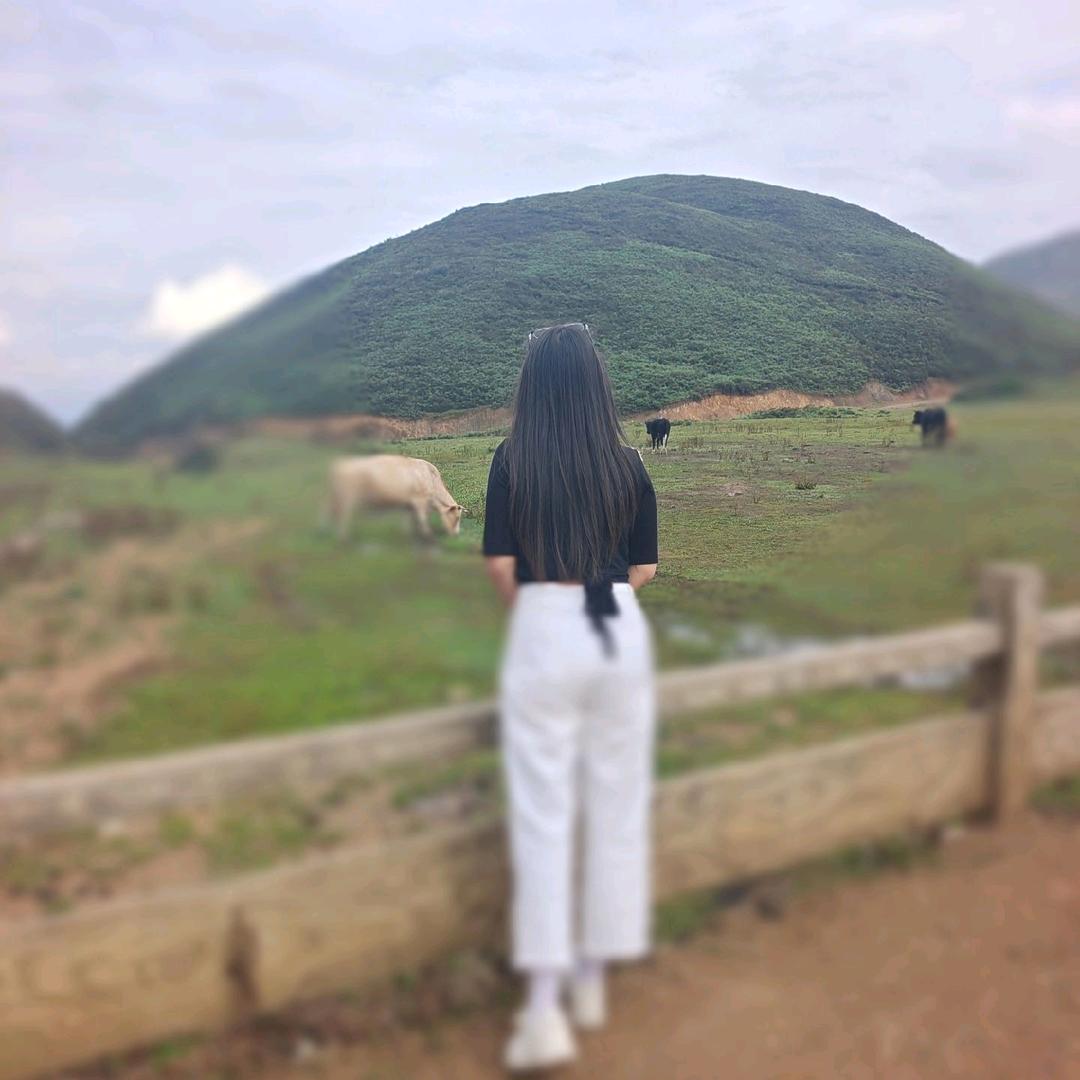 敏敏