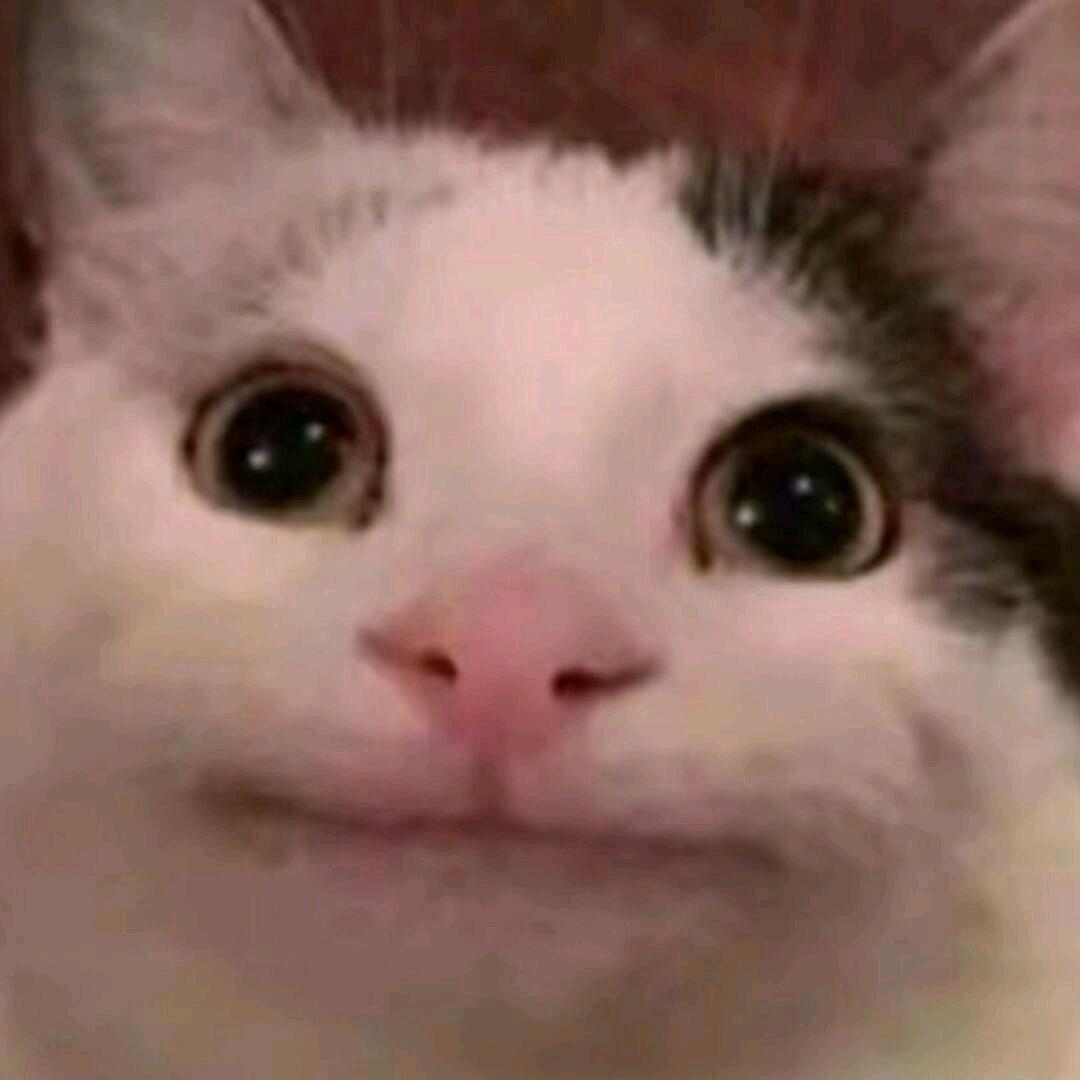 Aa.拉克丝