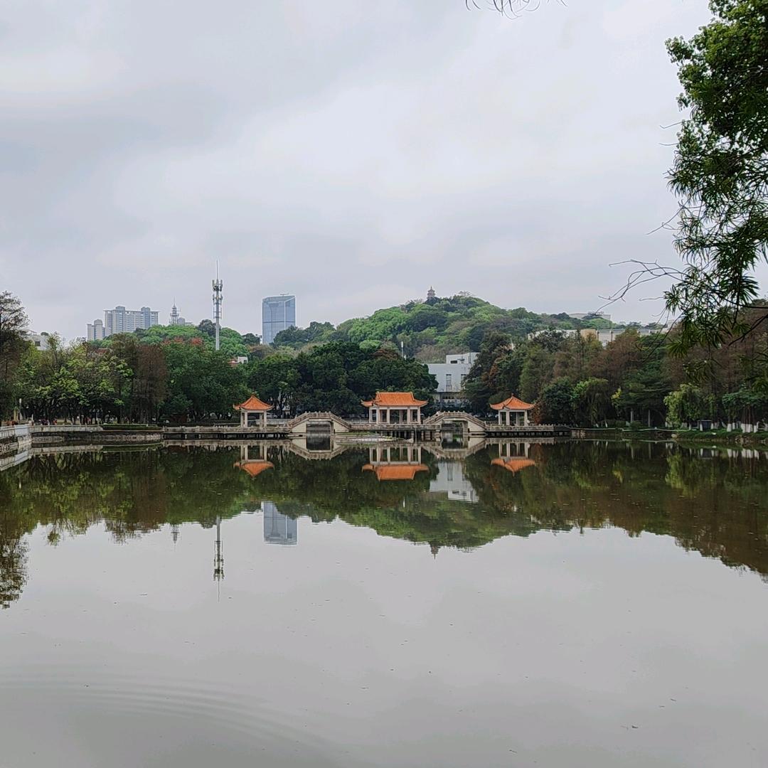 学野啦
