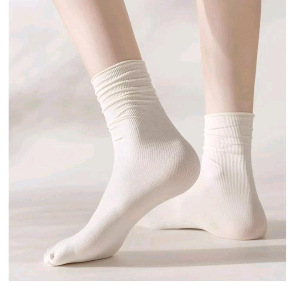 大红树衣物甄选