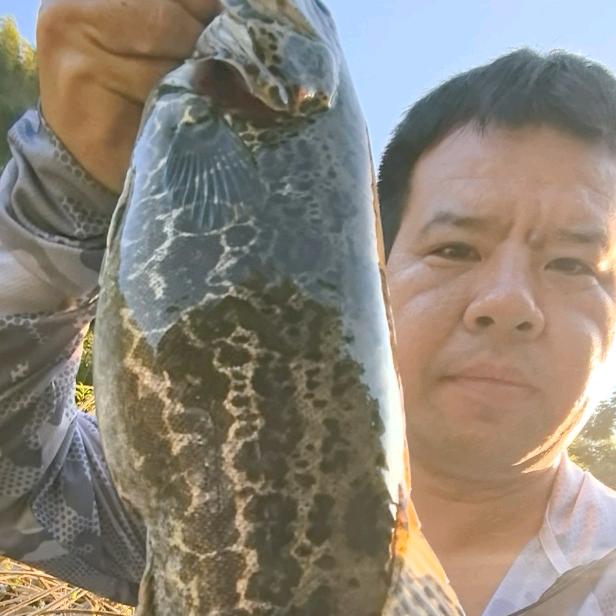 天柱-老姜路亚🎣