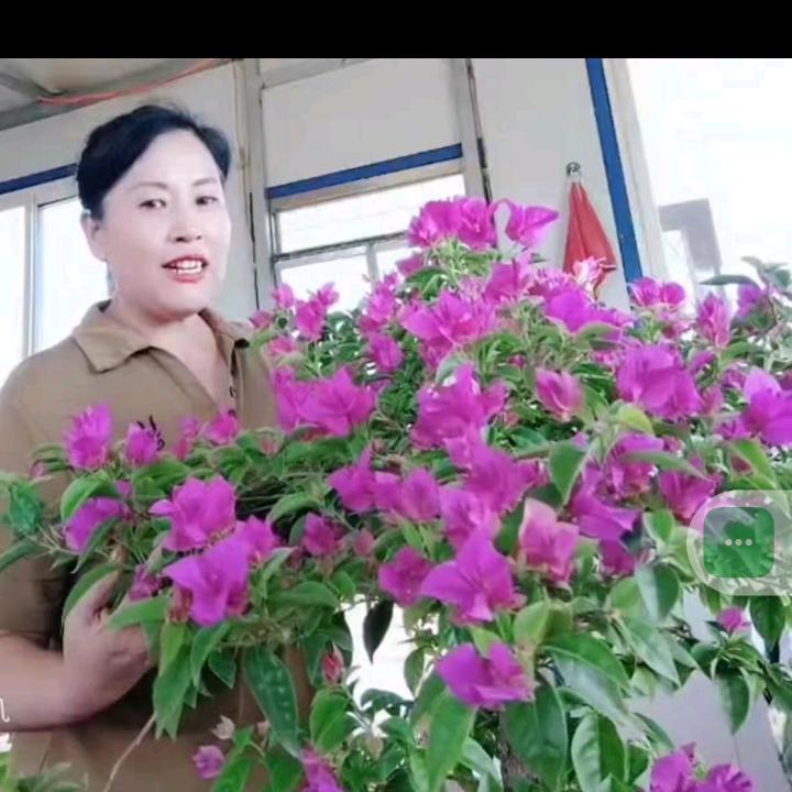 大悠姐