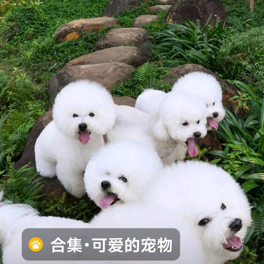 天天开心快乐每一天