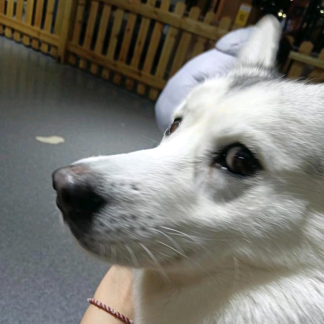 老公为男铜出走的那个雨夜后我变成了女同