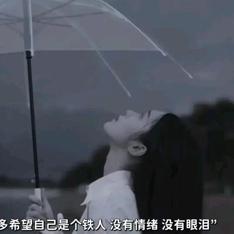 小暴龙