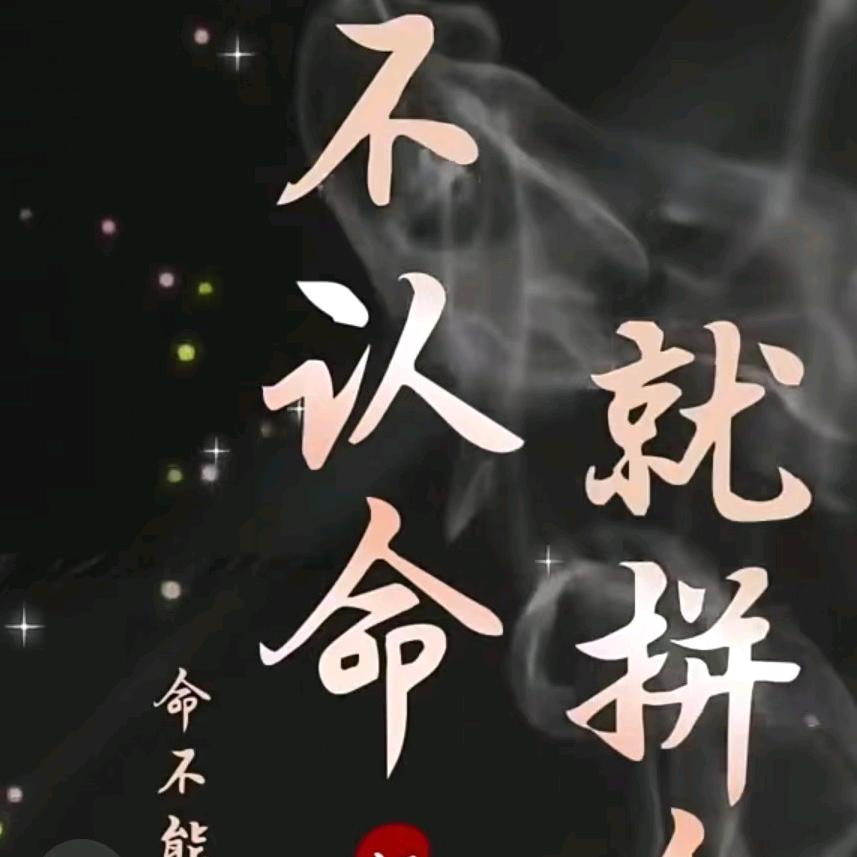 风叶