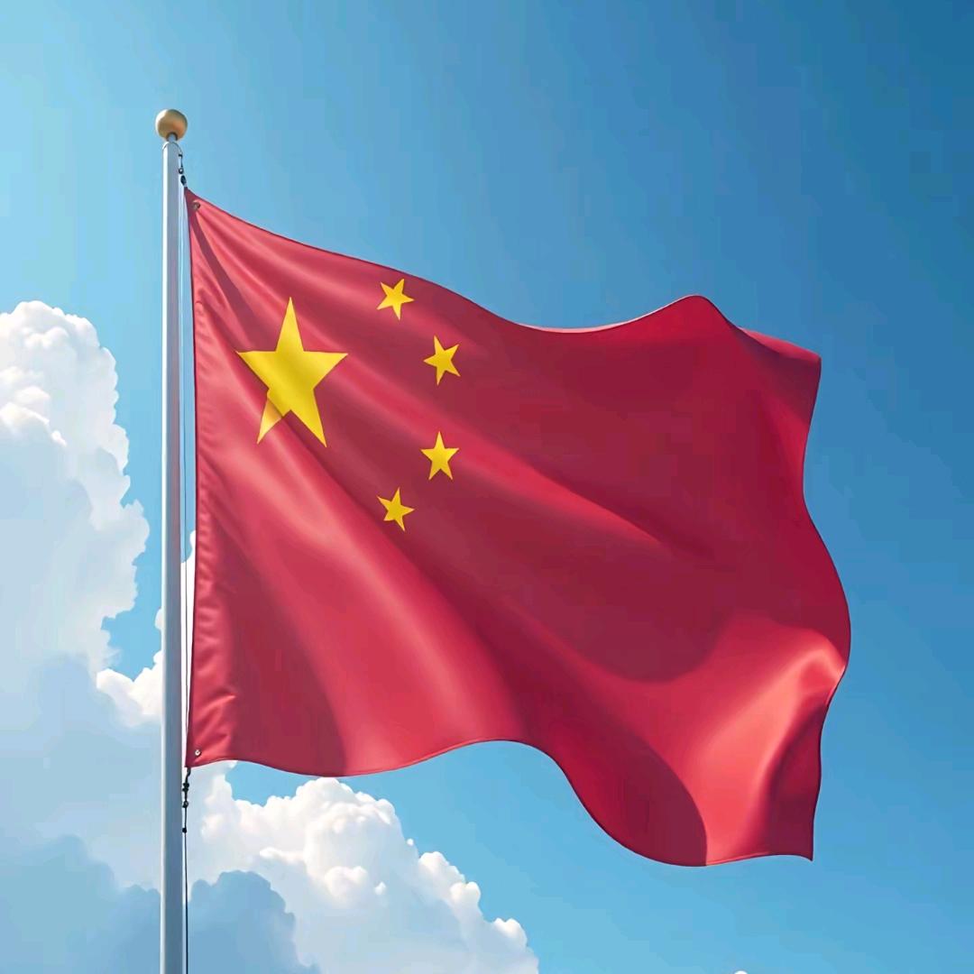 申丽