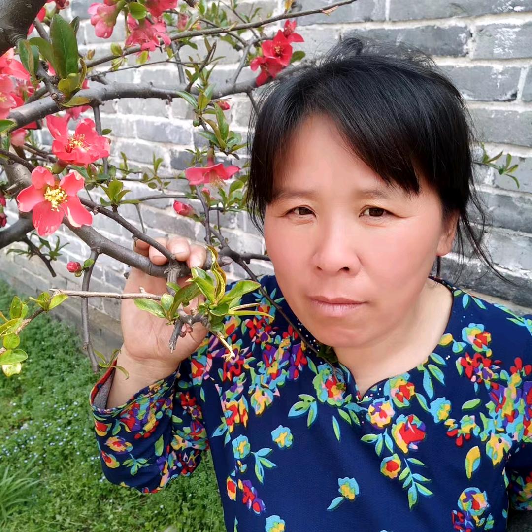 富贵花开♛
