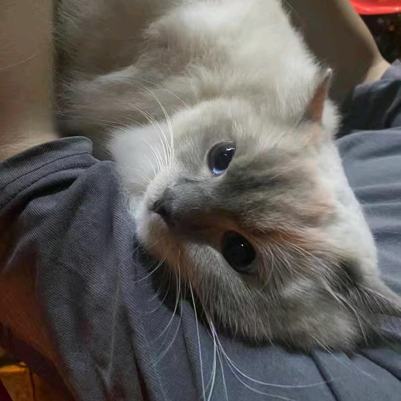 壮壮妈cos张小丽勾引牛爷爷