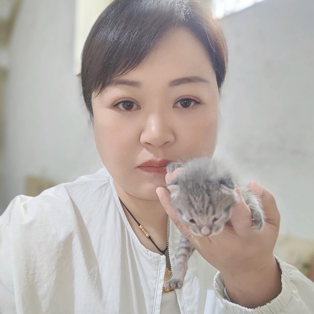 转身就走