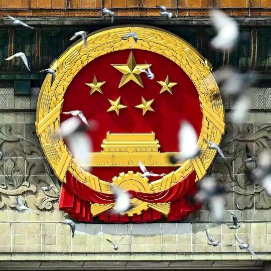 钵钵仔