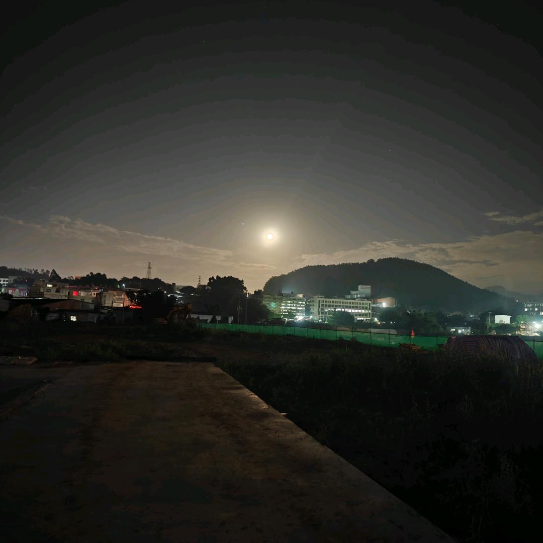 三叶草🐖🐖🐖