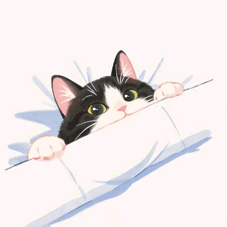 小花～🐱