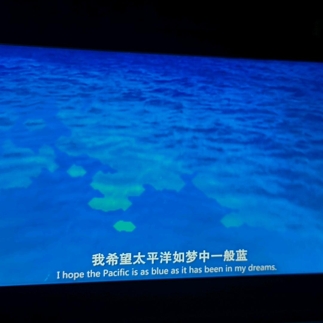 赐我一只猫ao