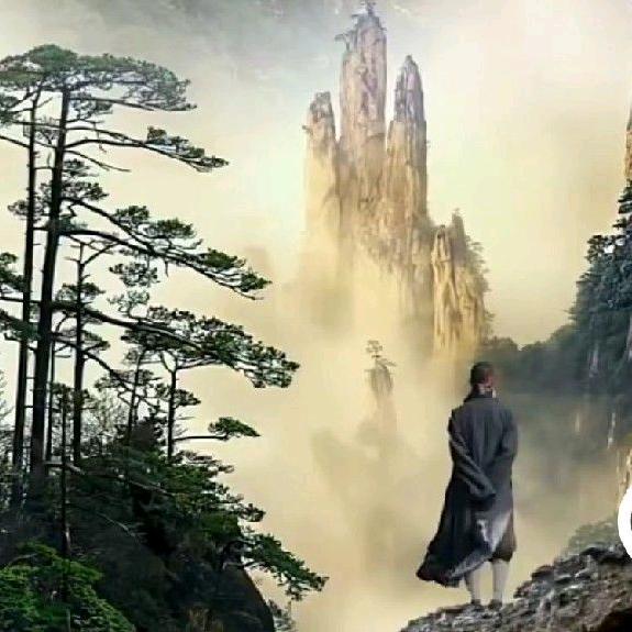 东北参茸土特产