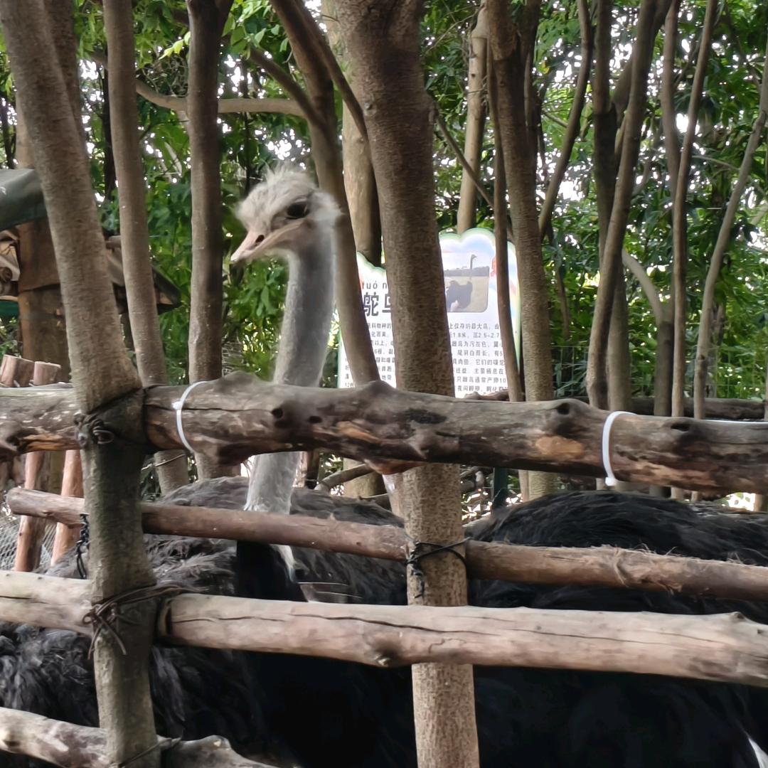 普宁本地吃喝玩乐~