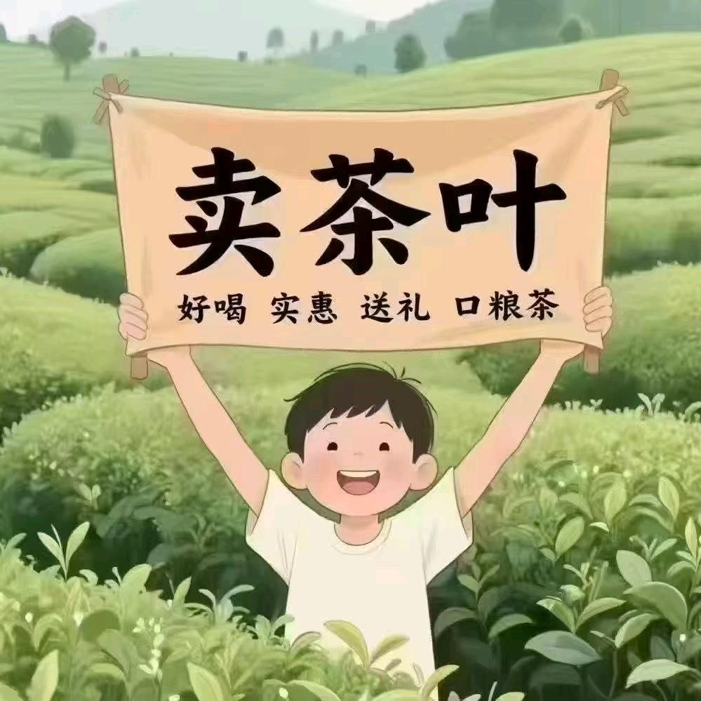 日照绿茶小秦同学
