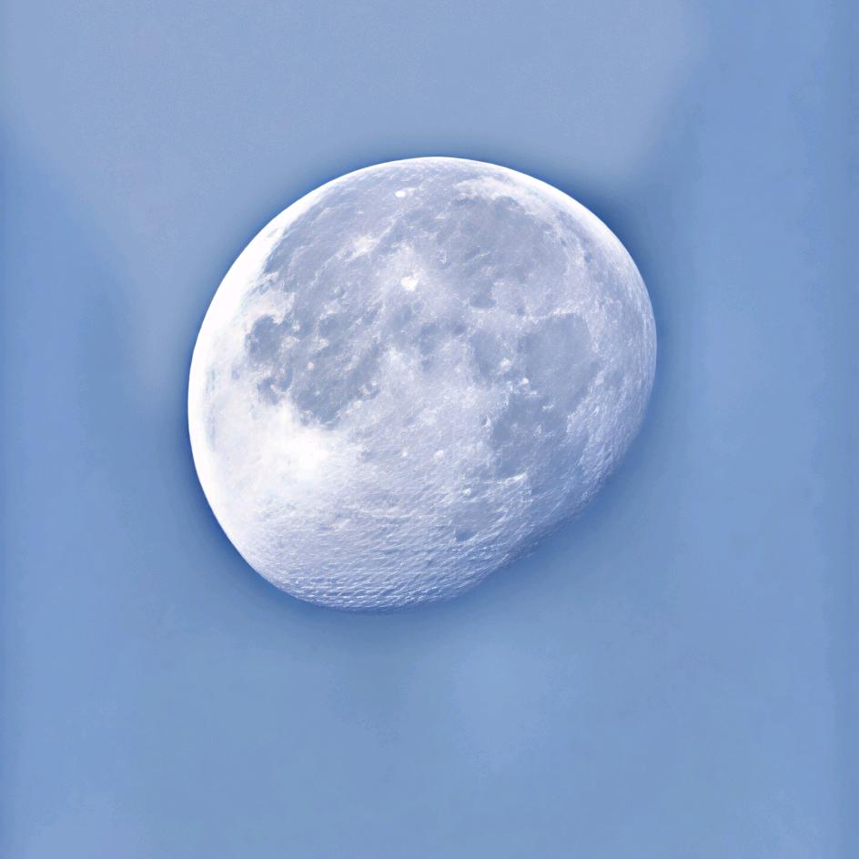 鱼……ᖰ•᎔•₎ᖳ