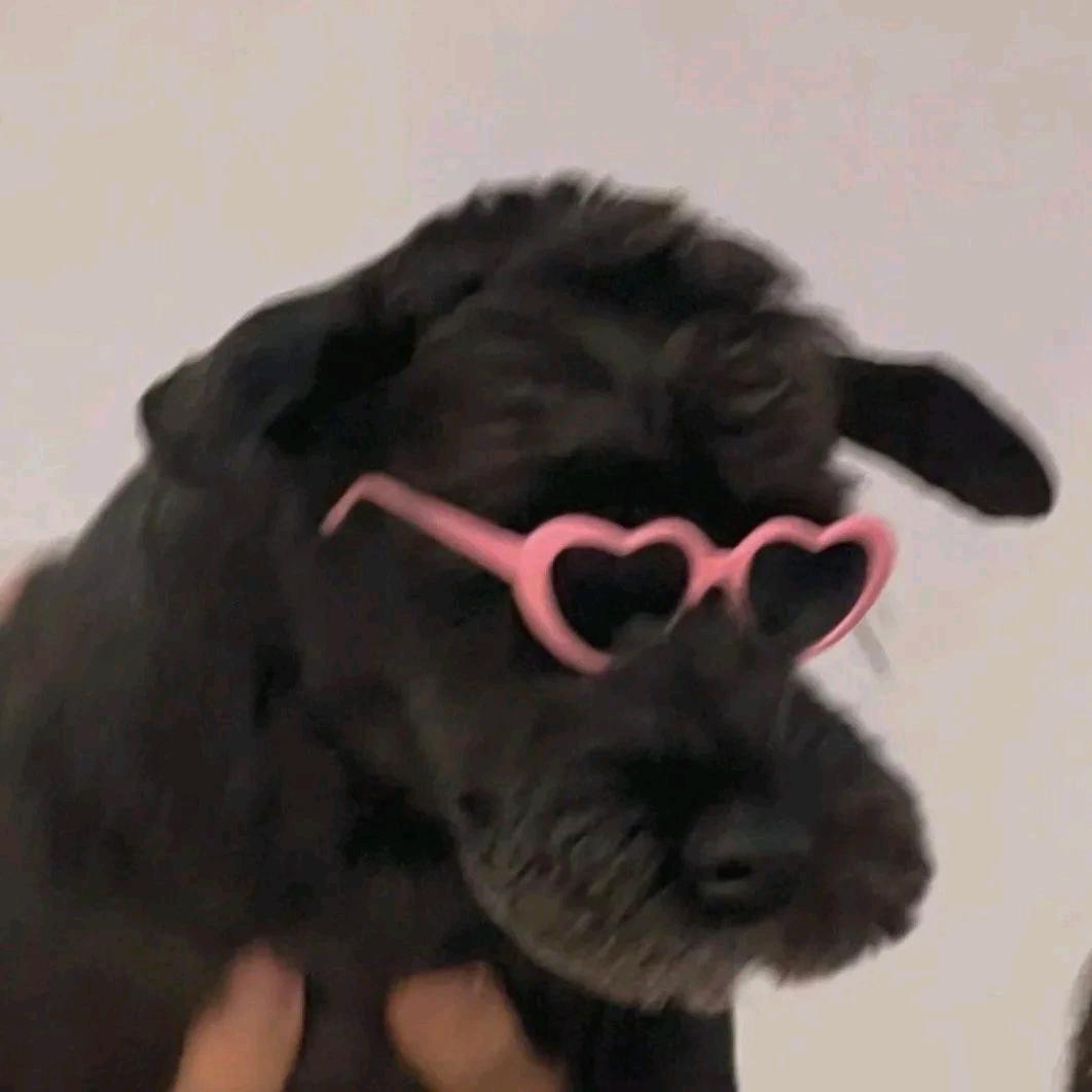 仁杰是个好孩子