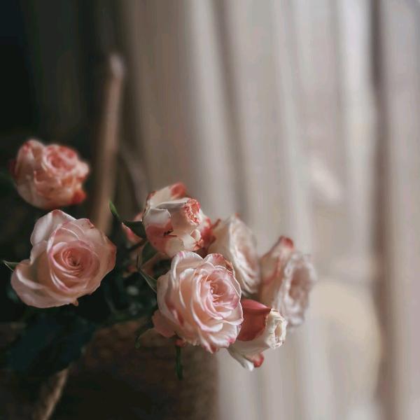 路曼手工穿戴甲电子商务