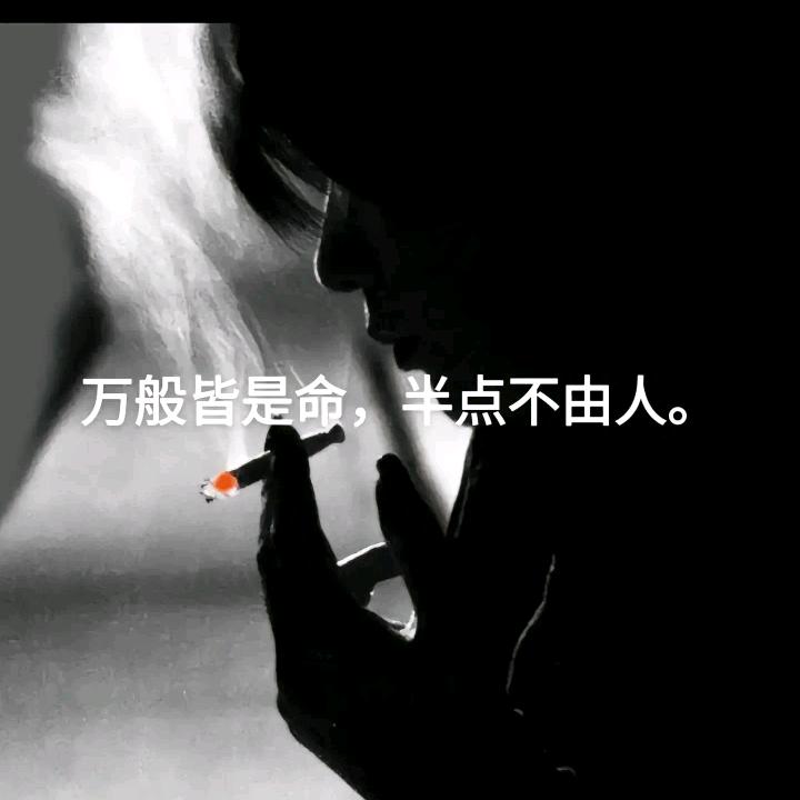 泪落成诗