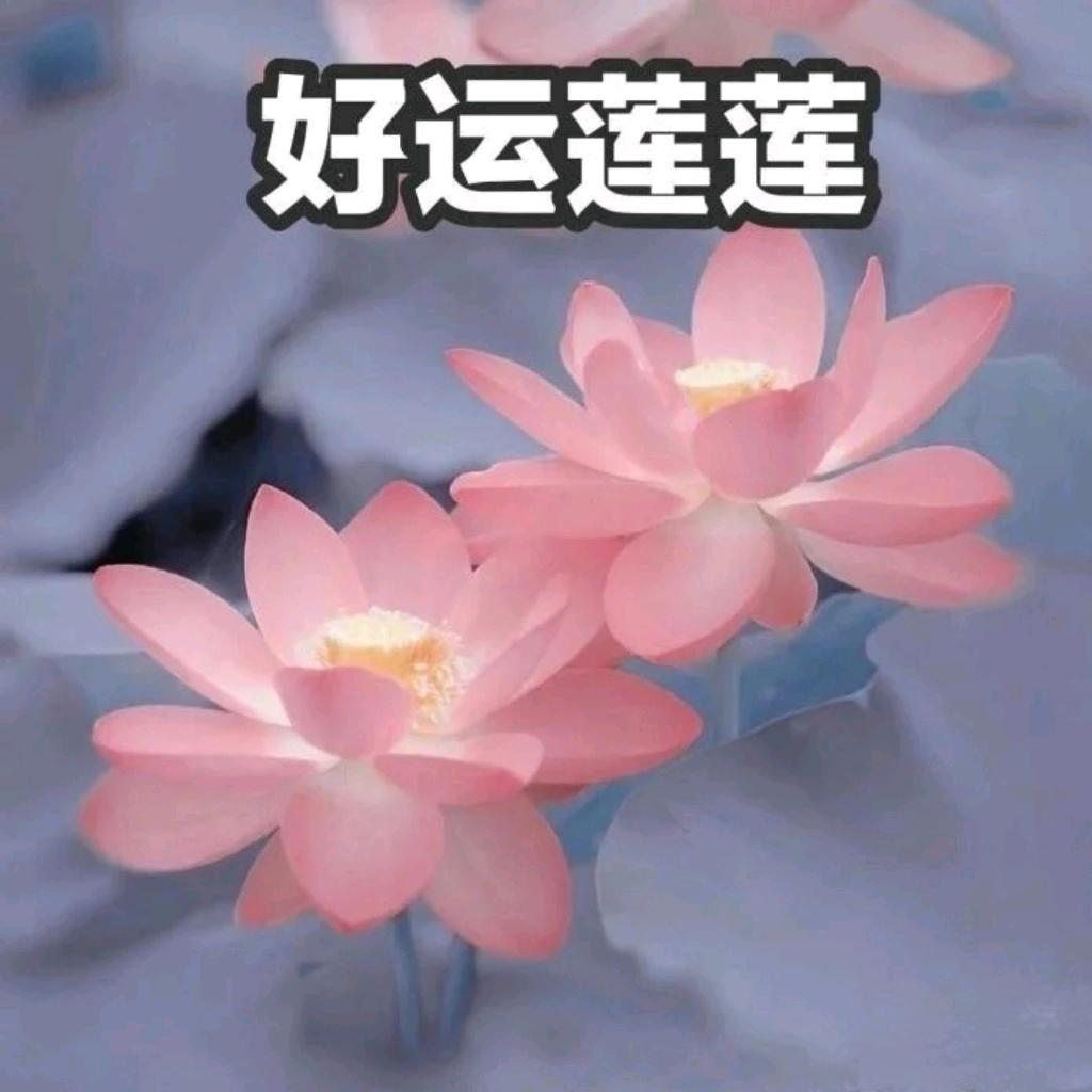 内廷上用朱大姐清仓
