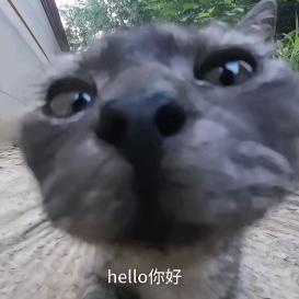 柒柒四十玖
