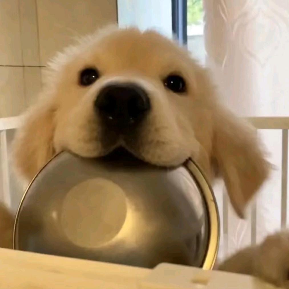 阿明诶