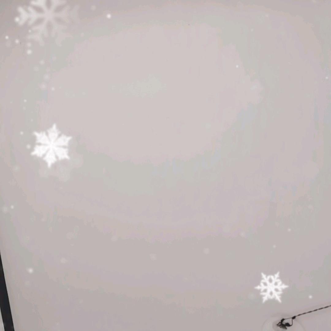 只爱你一个