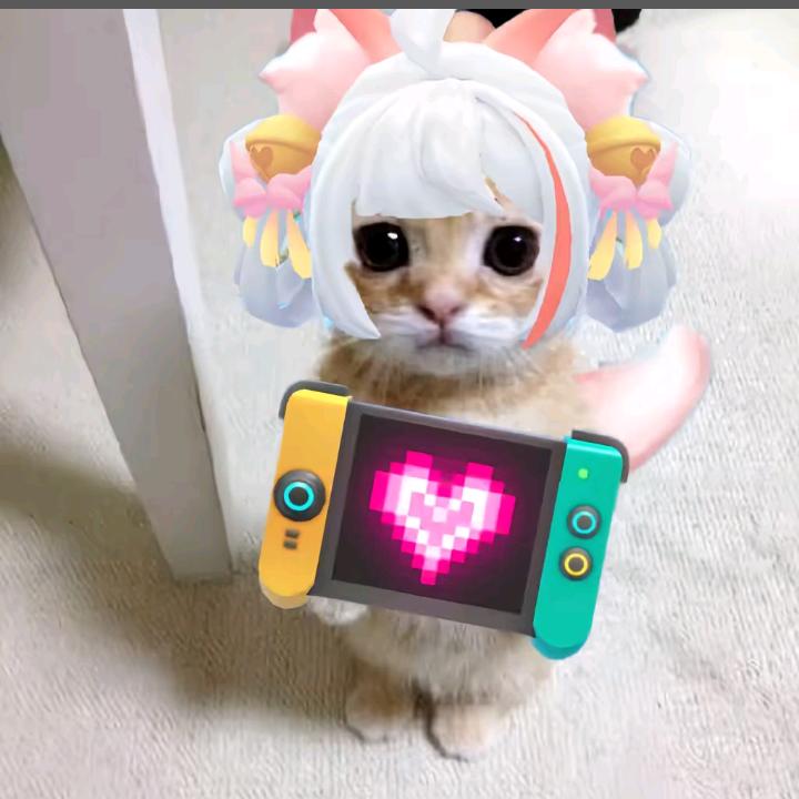 广西人