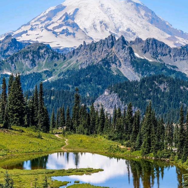 养生食品专门店