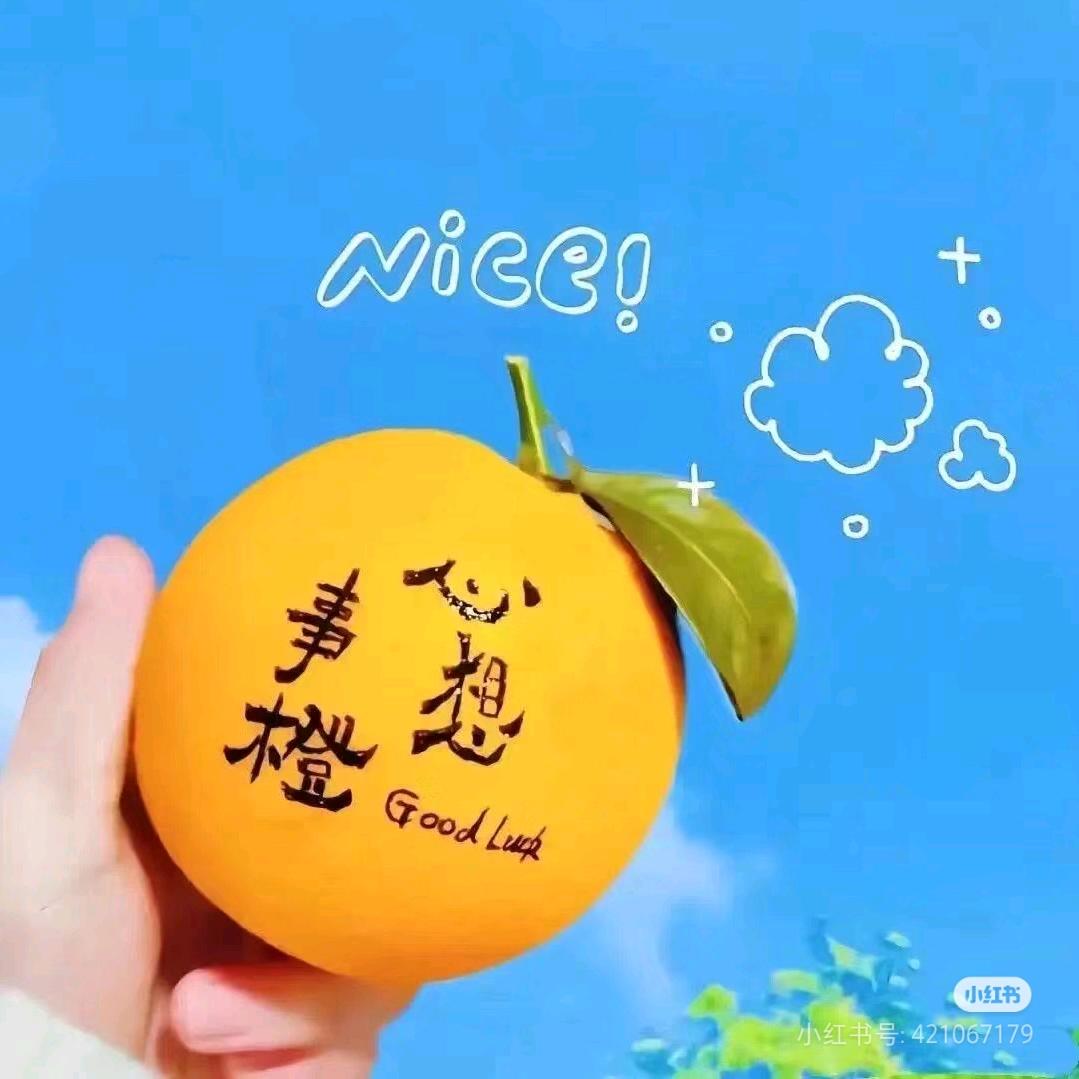 ᥫᦱᐝ柿柿🌻⃟⸜如意ཀོ࿐