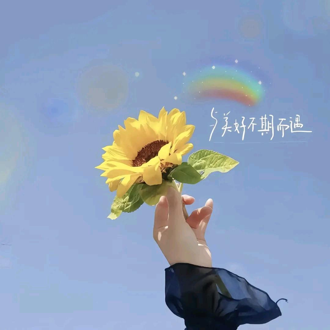 今天很好，明天更好❤️
