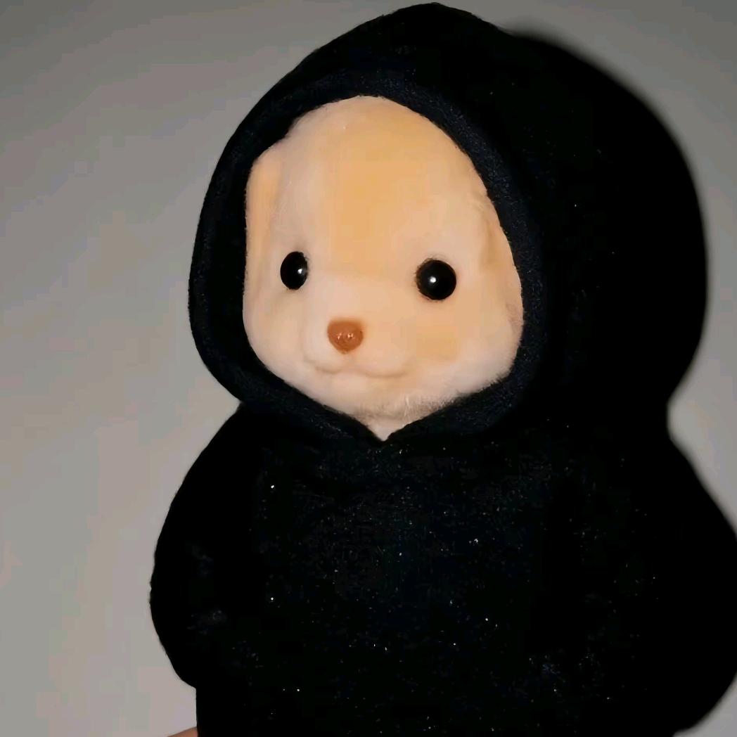 ￣ ￣)σ