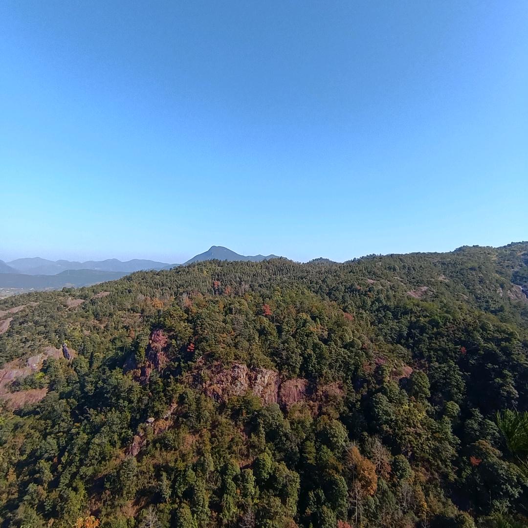 同光合尘