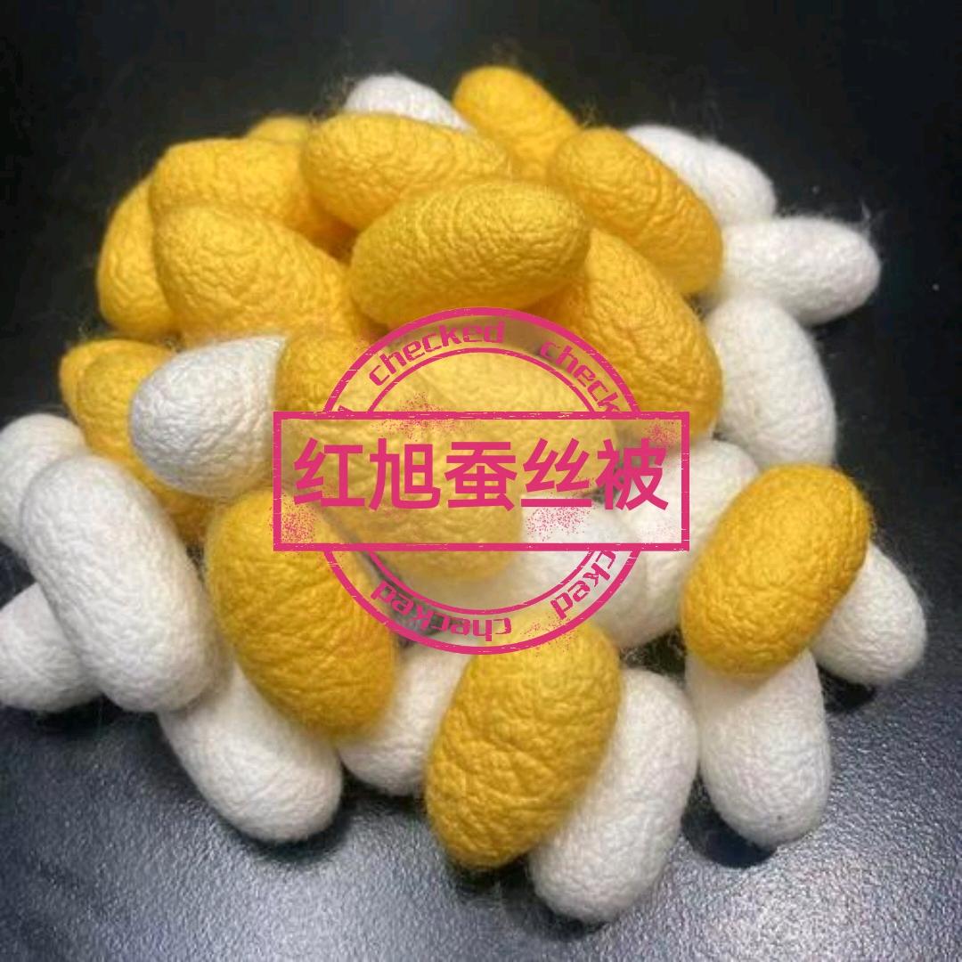 红旭蚕丝被（现场制作）