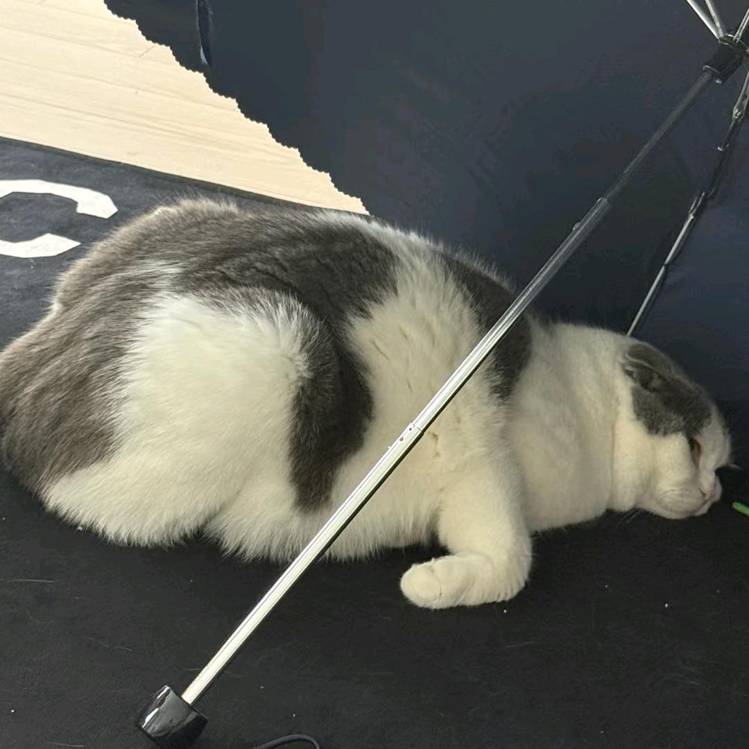 你干嘛