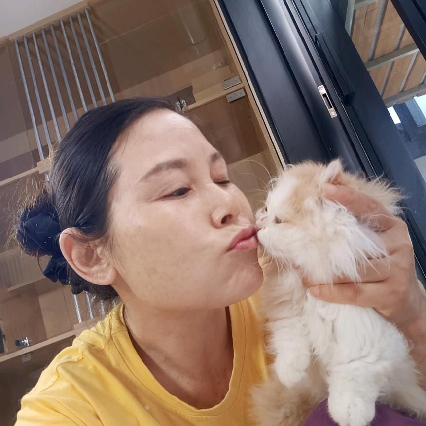 文姐子和她猫